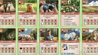 风云突变!奥兰多魔术集结日回应争议,社区盾版图或变,震撼外界,临场指挥获称赞的简单介绍-玖鼎平台